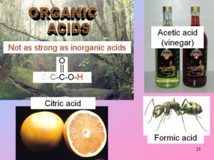 Органические кислоты и эфирные масла