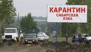 сибирская язва вспышка 2023