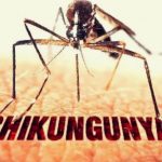 чикунгунья